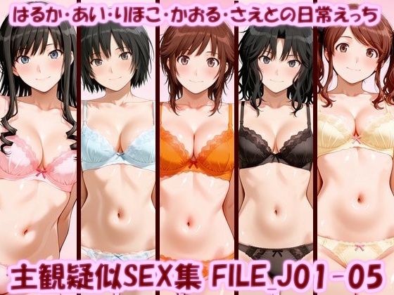 【エロ漫画】主観疑似SEX集 FILE_J01-05 はるか・あい・りほこ・かおる・さえとの日常えっち